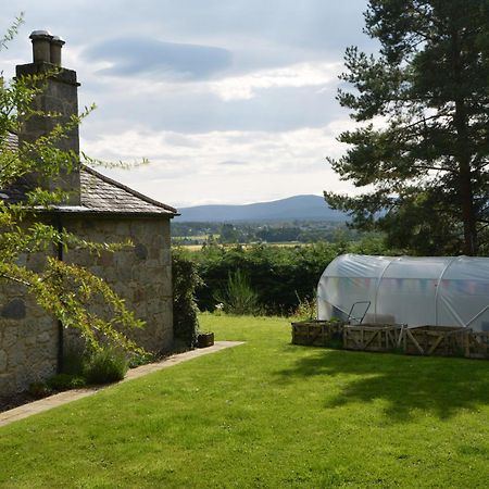 Amazing Cottage With Private Indoor Swim Pool And Hot Tub Grantown-on-Spey Kültér fotó
