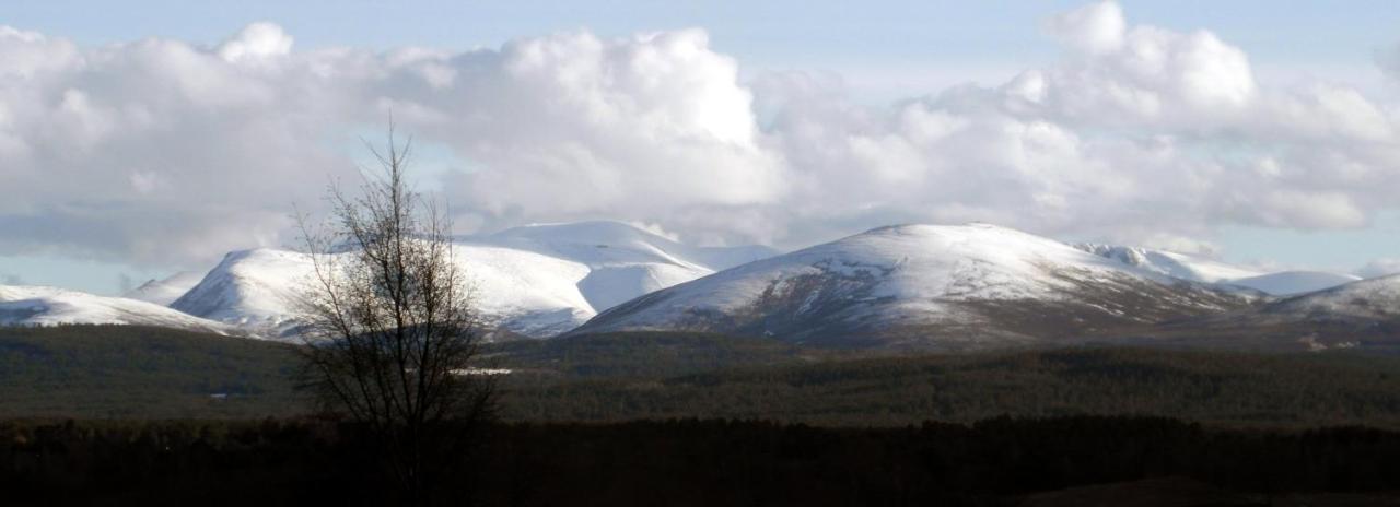 Amazing Cottage With Private Indoor Swim Pool And Hot Tub Grantown-on-Spey Kültér fotó