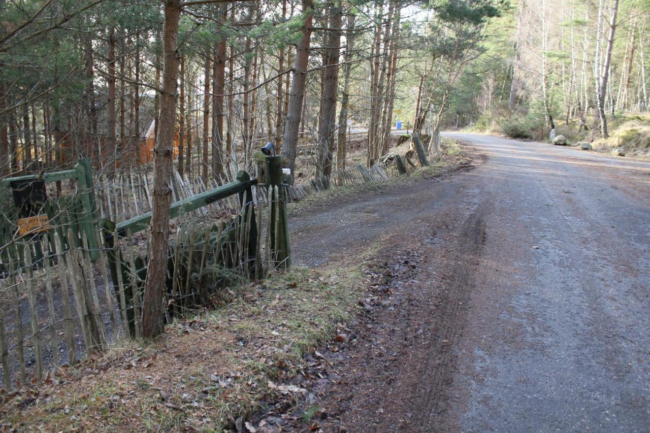 Amazing Cottage With Private Indoor Swim Pool And Hot Tub Grantown-on-Spey Kültér fotó