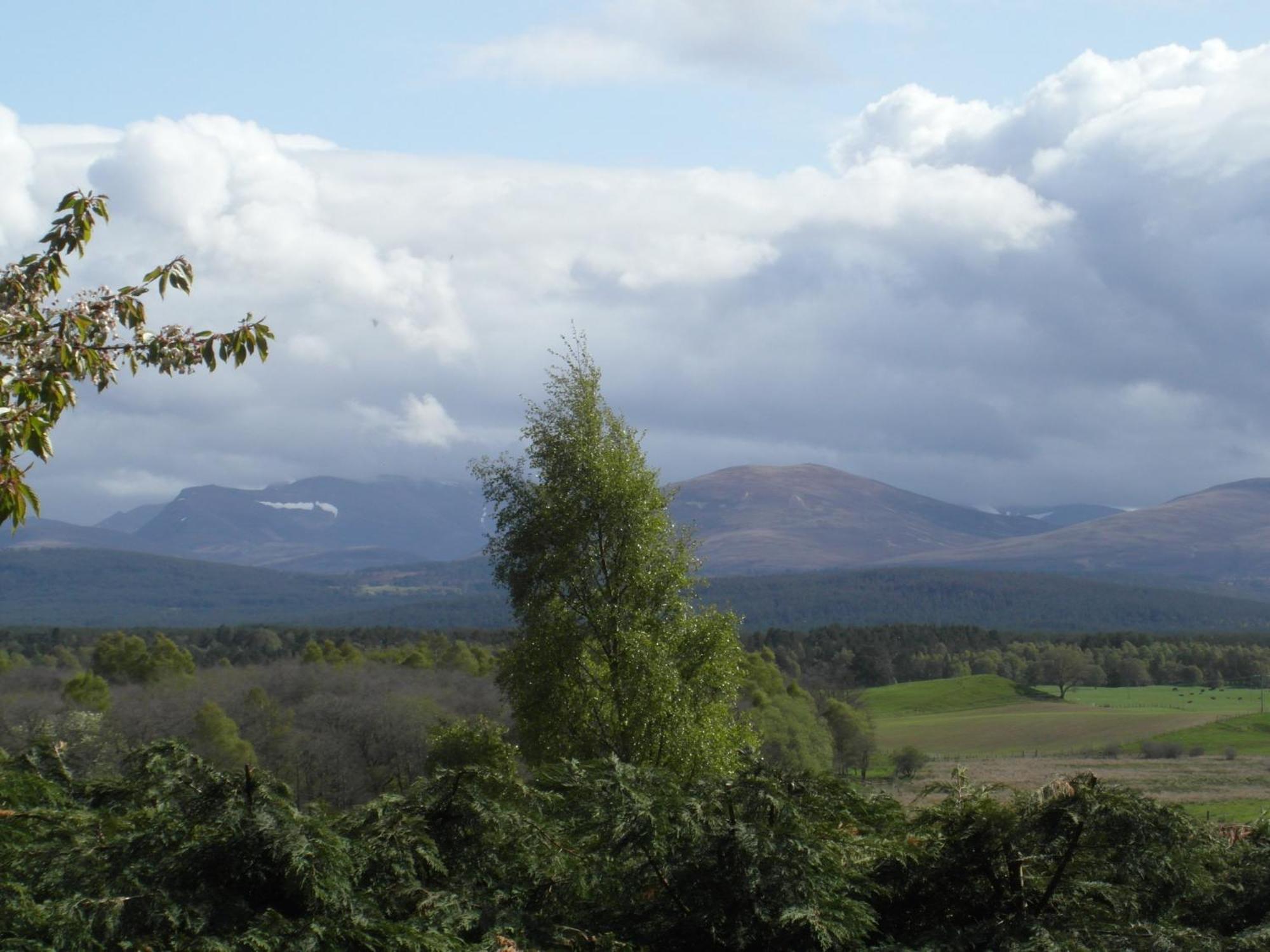 Amazing Cottage With Private Indoor Swim Pool And Hot Tub Grantown-on-Spey Kültér fotó